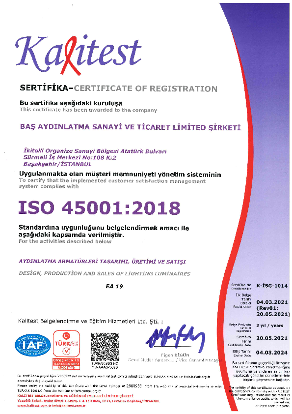 ISO - 45001.pdf